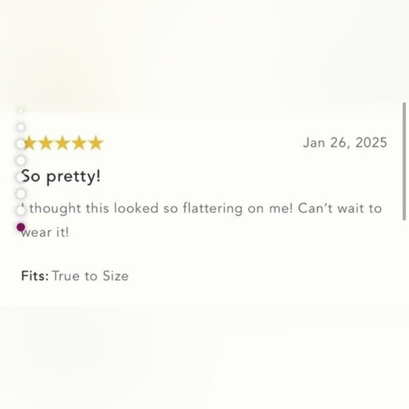 NWT Size XL - By Anthropologie Sequin Lace Midi Skirt - Picture 6 of 16